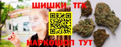стафф Шелехов