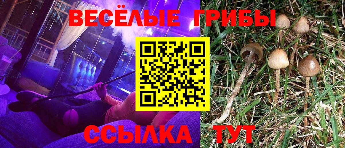 Баксан  Галлюциногенные грибы GOLDEN TEACHER  Галлюциногенные грибы Psilocybe  Вход с VPN 