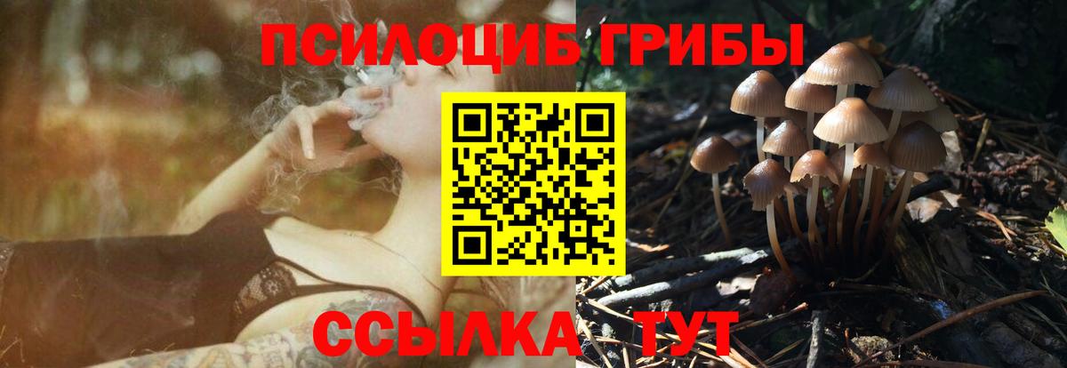 Псилоцибиновые грибы MAGIC MUSHROOMS Баксан
