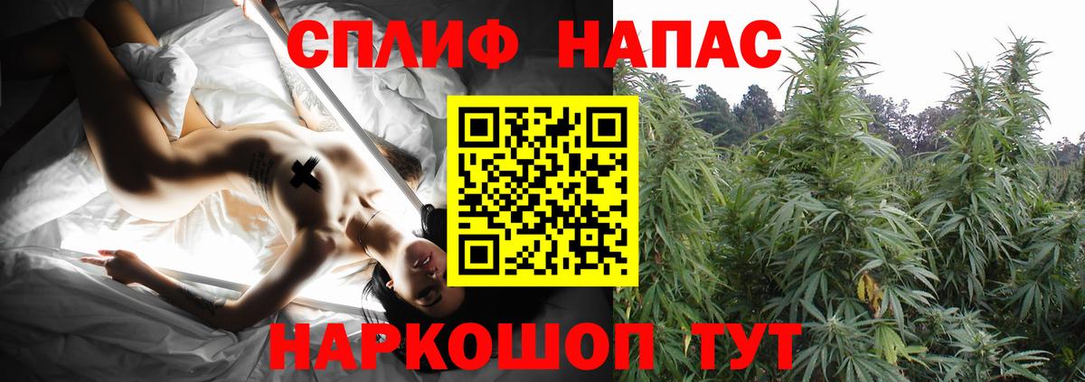 Бошки марихуана гибрид Баксан